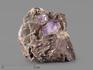 Аметист, кристаллы на породе 6-8 см, 21737, фото 1
