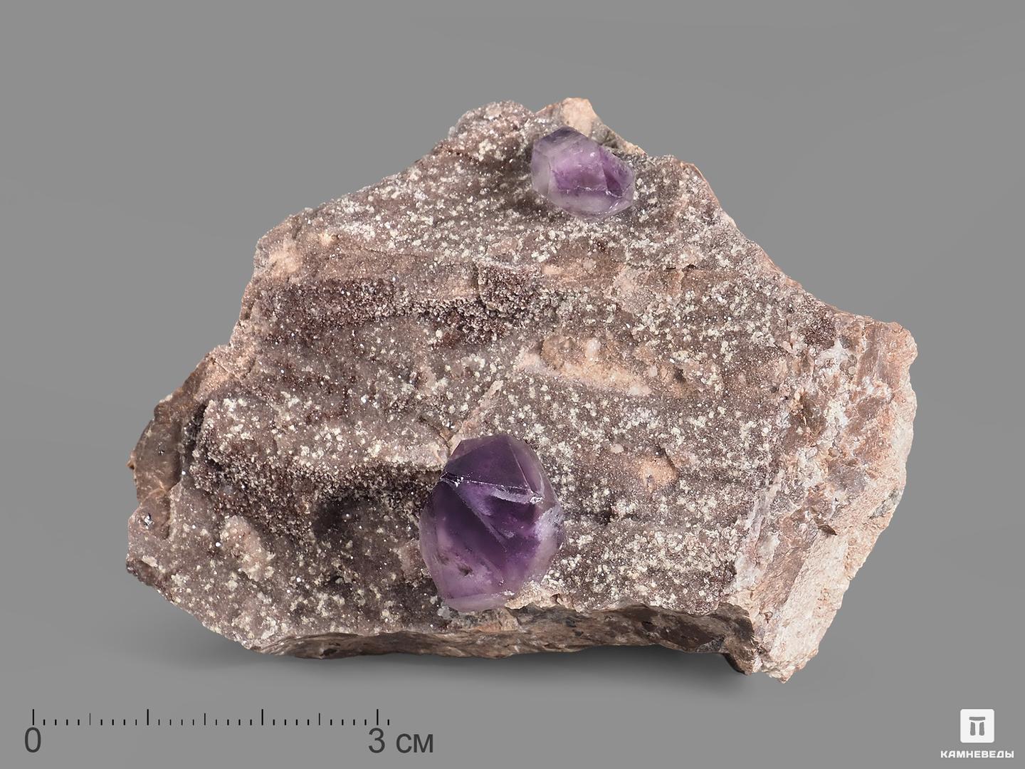 Аместист, кристаллы на породе 6-7 см, 21738, фото 1