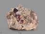 Аметист, кристаллы на породе 6,5х5,5х4,4 см, 21742, фото 1