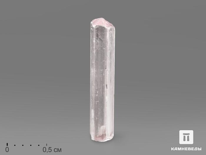 Турмалин (рубеллит), кристалл 1,6х0,4х0,3 см, 21817, фото 1
