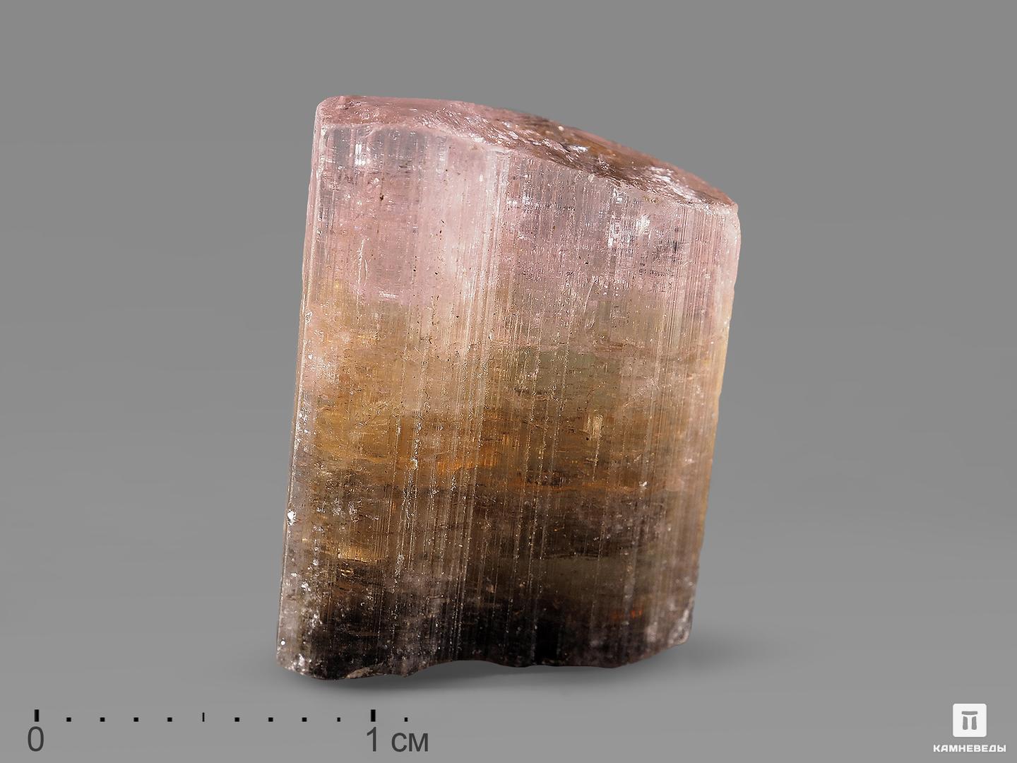 Турмалин полихромный, кристалл 2х1,5х0,7 см, 21818, фото 1