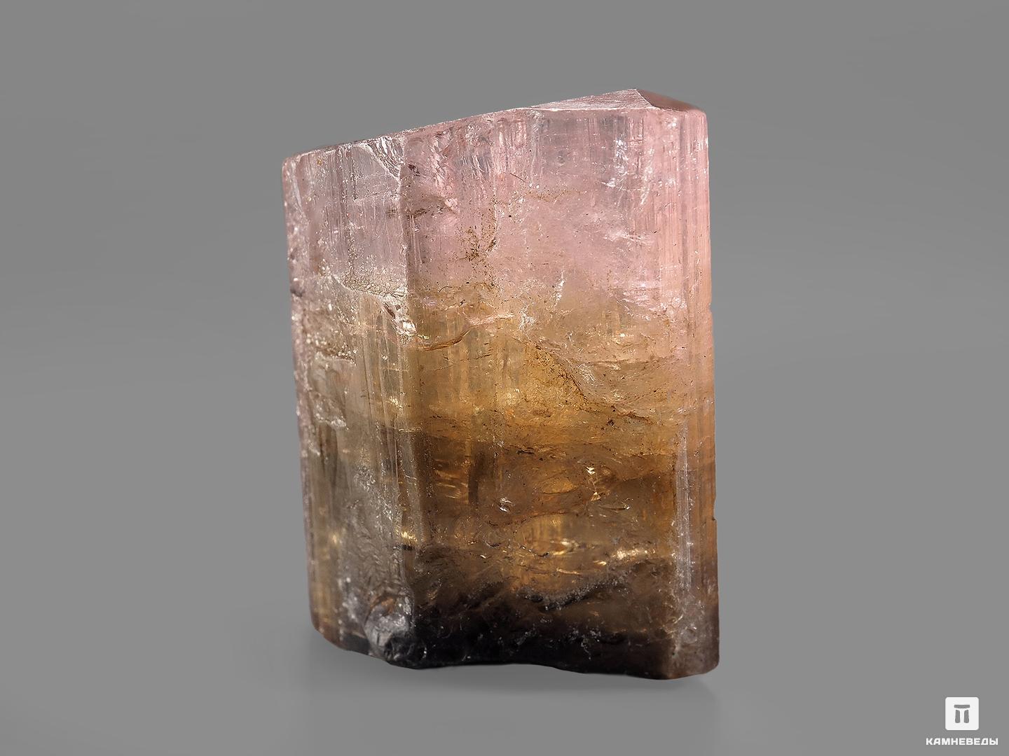 Турмалин полихромный, кристалл 2х1,5х0,7 см, 21818, фото 2