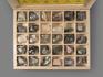 Систематическая коллекция минералов и разновидностей (30 образцов, состав №1), 21849, фото 5