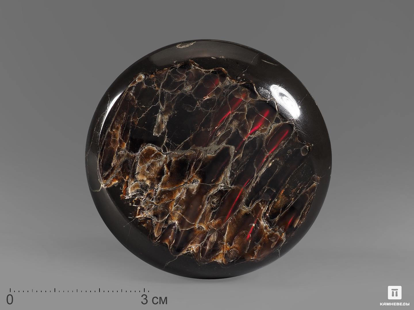 Аммолит (ископаемый перламутр аммонита), 5,9х5,8х1 см, 21843, фото 1