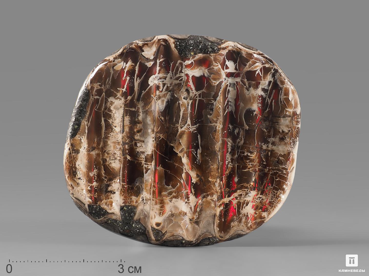 Аммолит (ископаемый перламутр аммонита), 6,5х5,9х0,7 см фигура голуби на сердце перламутр 20х16х17см