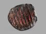 Аммолит (ископаемый перламутр аммонита), 7,4х6х1 см, 21839, фото 2