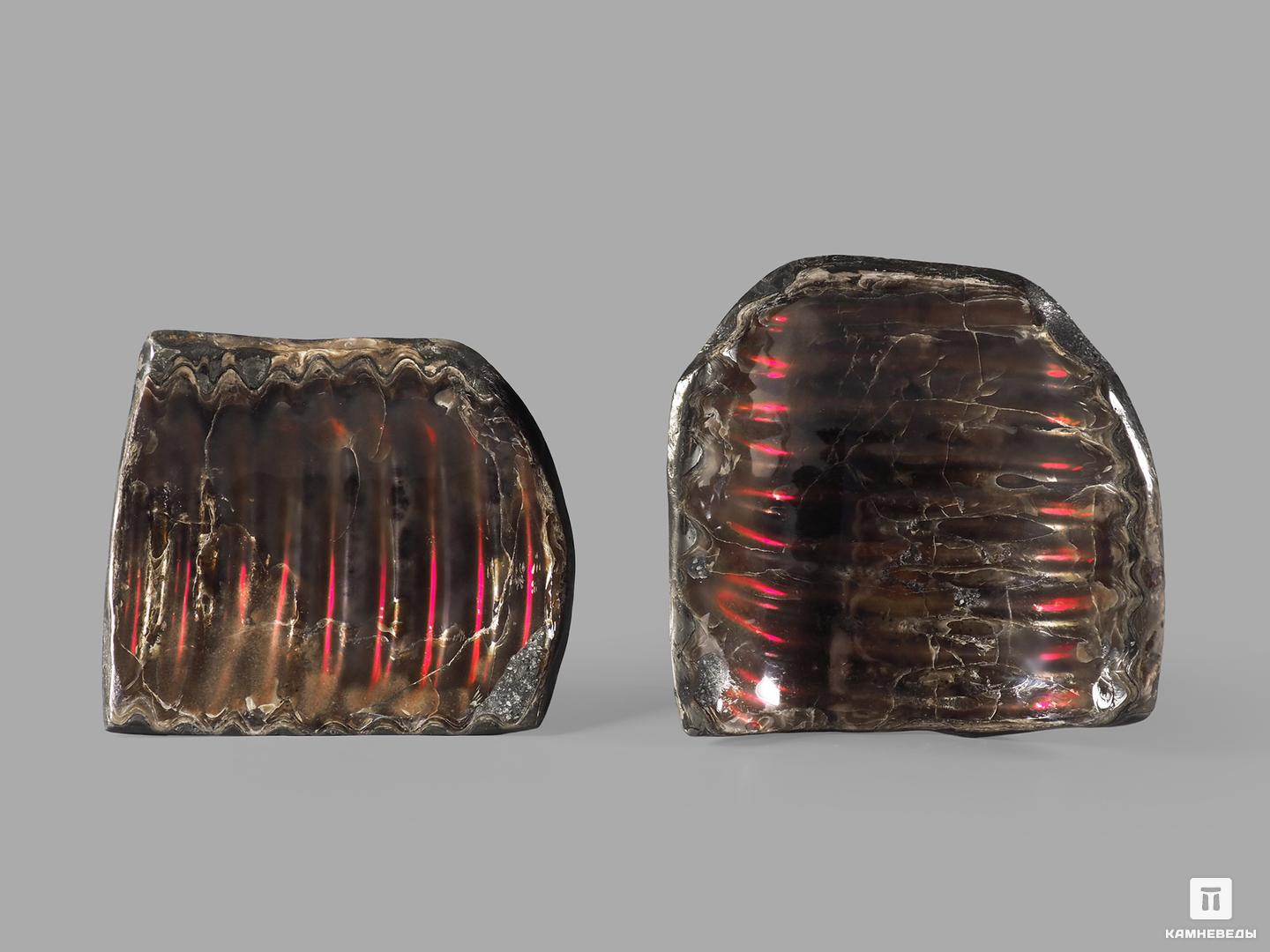 Аммолит (ископаемый перламутр аммонита), 7,8х7х0,8 см, 21836, фото 3