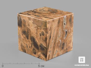Риолит. Куб из риолита, 6х6 см