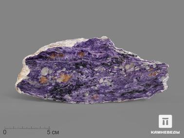Чароит. Чароит, полированный срез 17х7,5х3 см