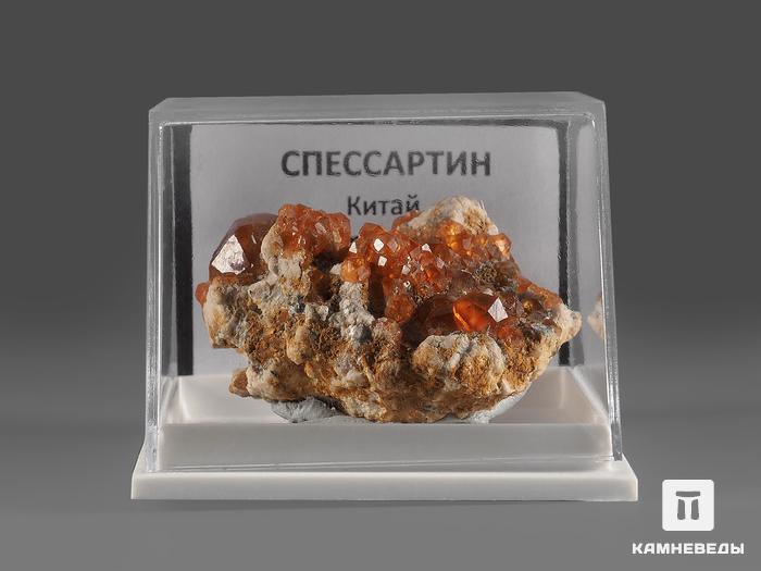 Спессартин (гранат), кристаллы на породе в пластиковом боксе 3,5х2,2х2 см, 21930, фото 2