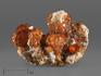 Спессартин (гранат), кристаллы на породе в пластиковом боксе 3,5х2,2х2 см, 21930, фото 1