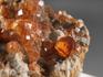 Спессартин (гранат), кристаллы на породе в пластиковом боксе 3,5х2,2х2 см, 21930, фото 4