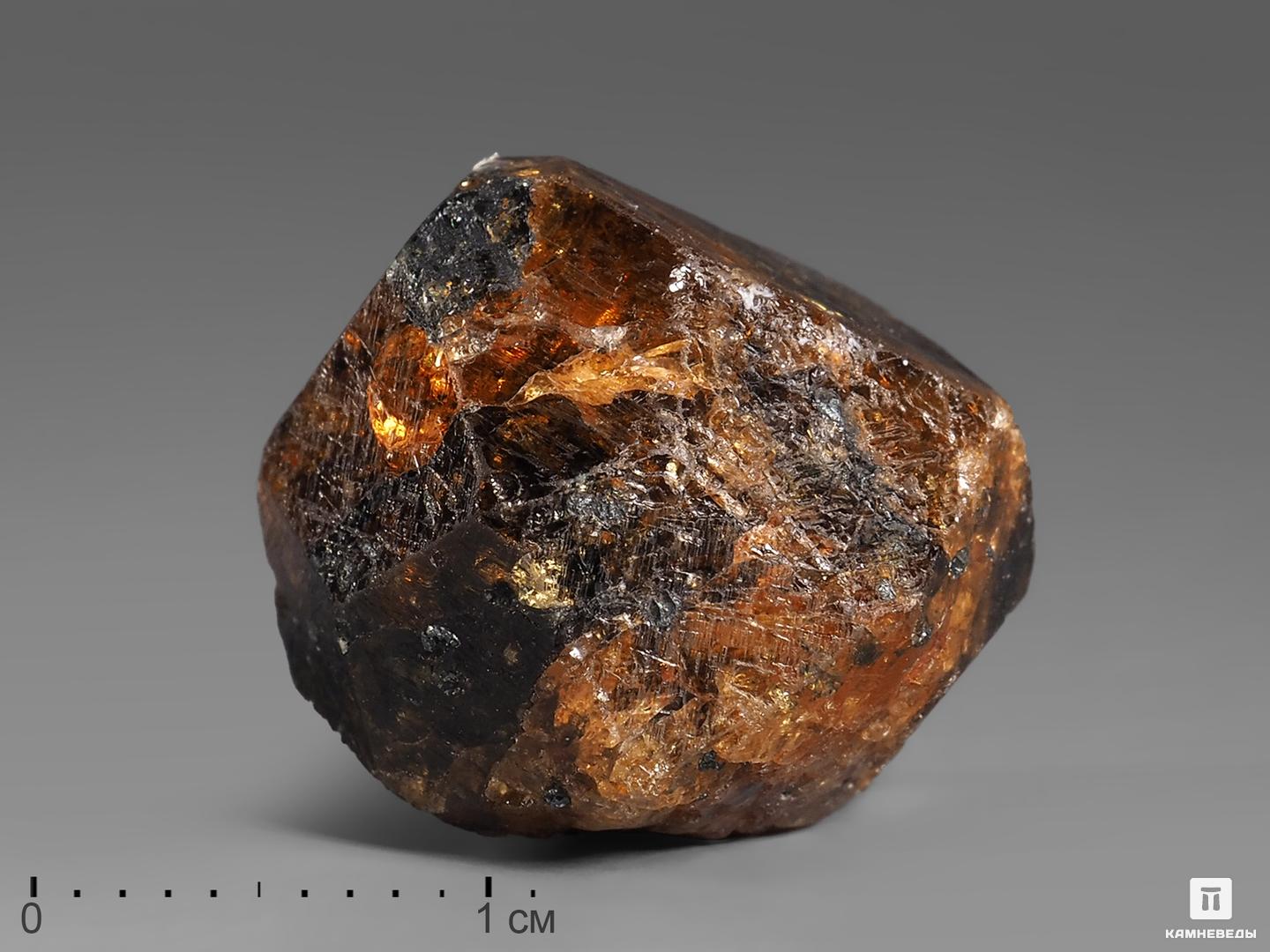 Спессартин (гранат), кристалл в пластиковом боксе 1,8х1,6х1,6 см, 21936, фото 1