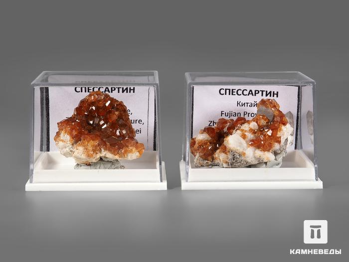 Cпессартин (гранат), кристаллы на породе в пластиковом боксе, 2,9х2,2х1,5 см, 21926, фото 4