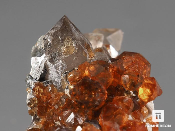 Спессартин (гранат), кристаллы на породе в пластиковом боксе 2,8х2,2х1,6 см, 21916, фото 2