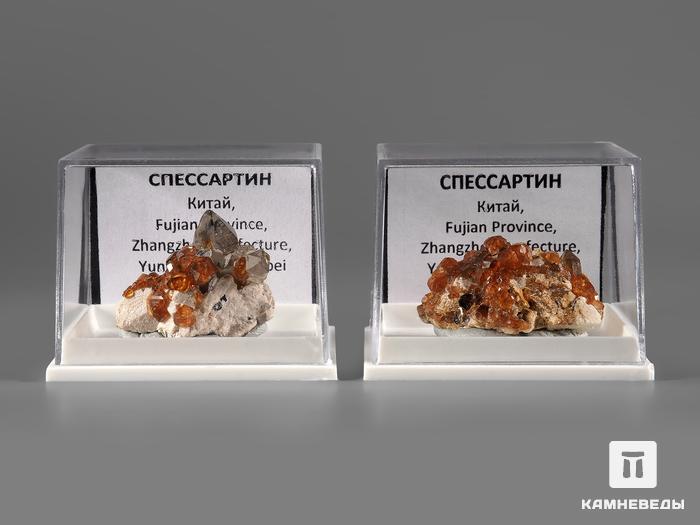 Спессартин (гранат), кристаллы на породе в пластиковом боксе 2,8х2,2х1,6 см, 21916, фото 3