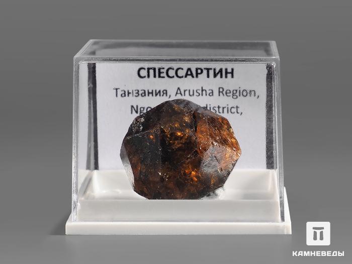 Спессартин (гранат), кристалл в пластиковом боксе 2,4х2,3х2,2 см, 21931, фото 3