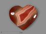 Сердце из сердоликового агата, 5 см, 22036, фото 1