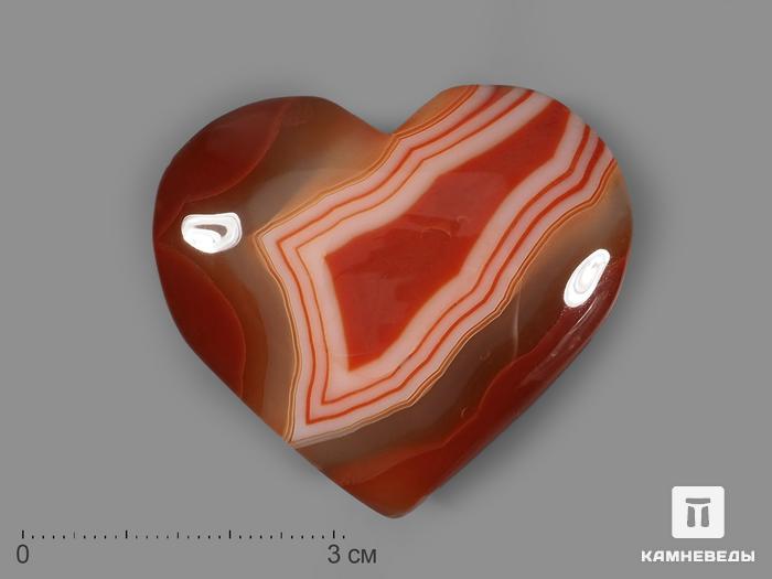 Сердце из сердоликового агата, 5 см, 22036, фото 1