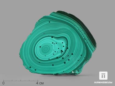 Малахит. Малахит, полированный срез 9,2х8,2х0,7 см