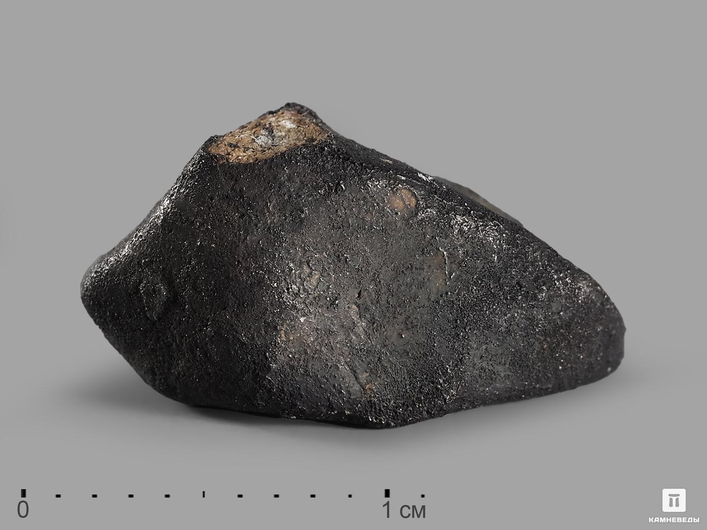 Метеорит Челябинск LL5, 1-1,5 см (1-1,5 г) магнит марка челябинск