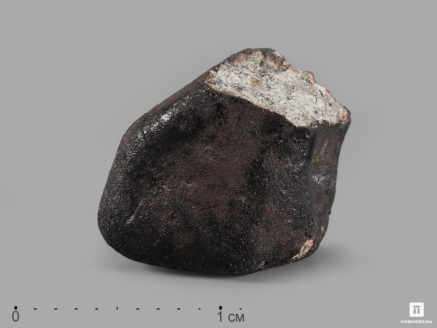 Метеорит Челябинск LL5,1,5-2,5 см (4,5-5 г) магнит марка челябинск