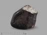 Метеорит Челябинск LL5,1,5-2,5 см (4,5-5 г), 22057, фото 1