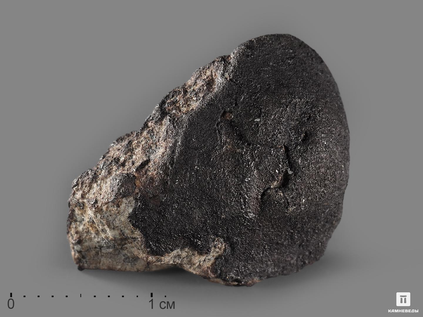 Метеорит Челябинск LL5, 2,6х1,9х1,2 см (8,17 г) магнит марка челябинск