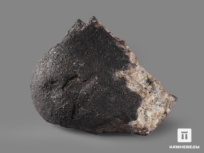 Метеорит Челябинск LL5, 2,6х1,9х1,2 см (8,17 г), 22048, фото 2