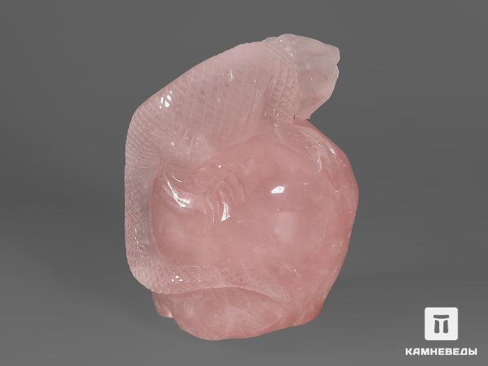 Ящерица из розового кварца, 10х8,3х6,2 см, 22022, фото 2