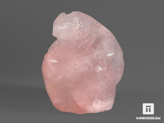 Ящерица из розового кварца, 10х8,3х6,2 см, 22022, фото 5