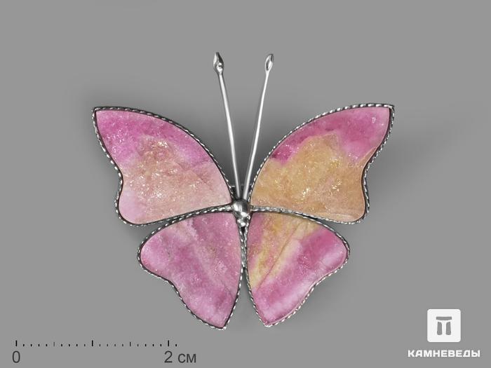 Брошь «Бабочка» с турмалином полихромным, 4,3х3,3х0,2 см, 17815, фото 1