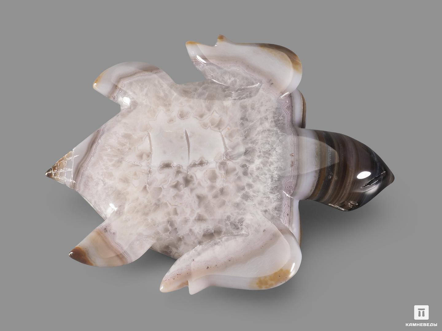 Черепаха из агата, 14,8х11,5х2,2 см, 22363, фото 2