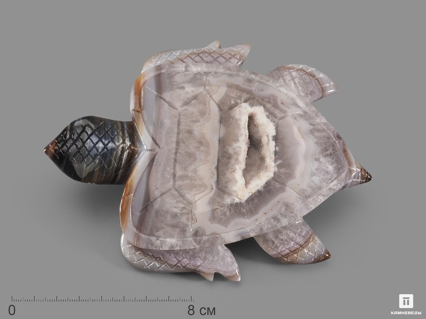 Черепаха из агата, 14,8х11,5х2,2 см сувенир черепаха 7х10х4 см змеевик гипс минералы