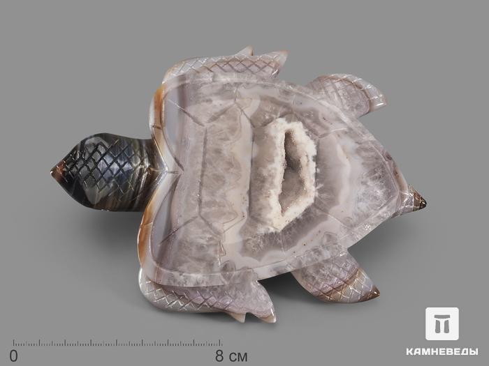 Черепаха из агата, 14,8х11,5х2,2 см, 22363, фото 1