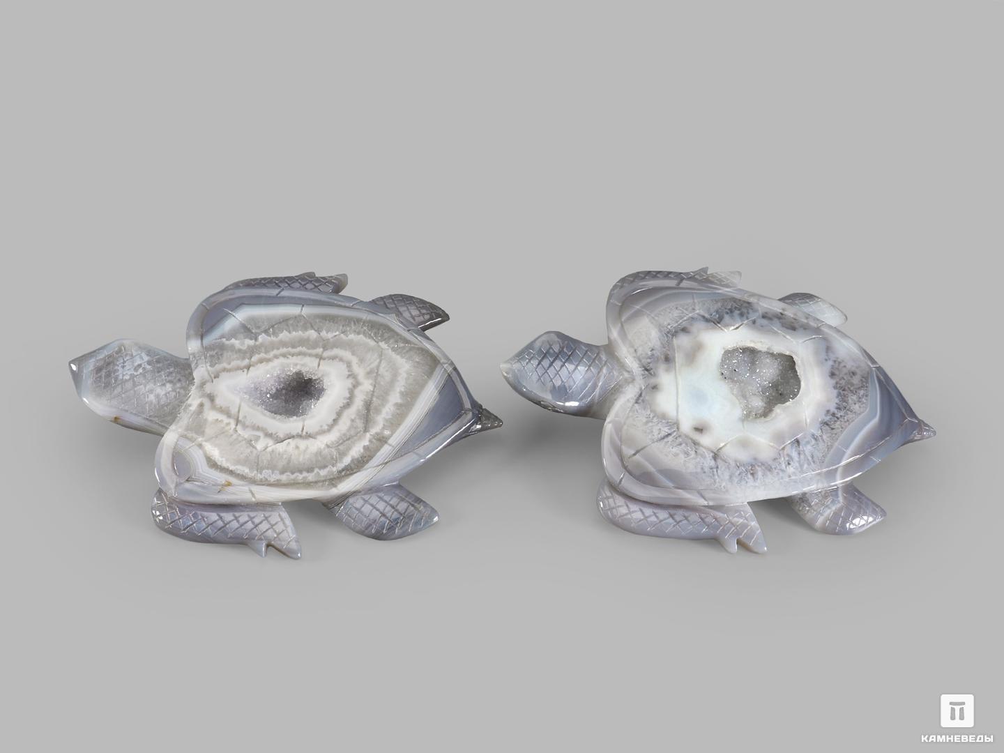 Черепаха из агата, 16х12,5х1,6 см, 22331, фото 3