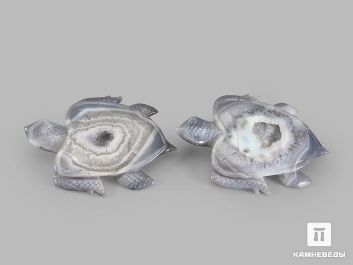 Черепаха из агата, 16х12,5х1,6 см, 22331, фото 3