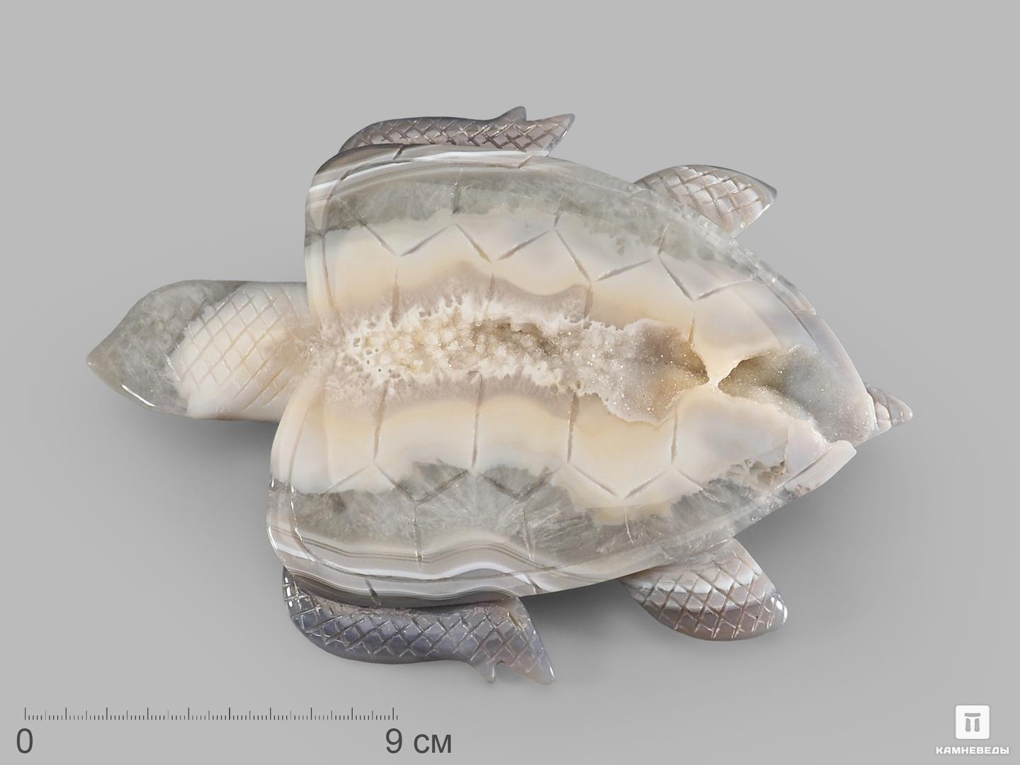 Черепаха из агата, 20х14,7х1,6 см черепаха из магнезита 4х2 8х1 6 см