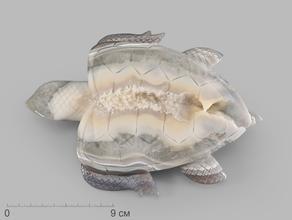 Черепаха из агата, 20х14,7х1,6 см
