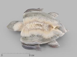 Черепаха из агата, 20х14,7х1,6 см