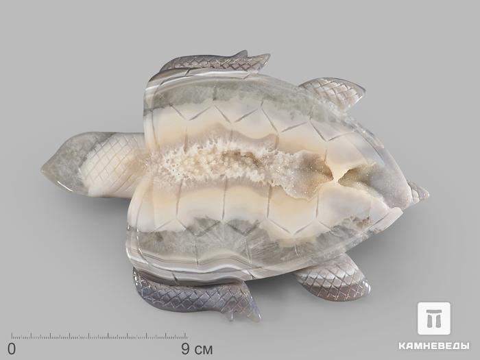 Черепаха из агата, 20х14,7х1,6 см, 22329, фото 1