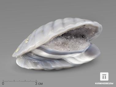 Агат. Двустворчатая раковина из агата, 9х6,8х4,8 см