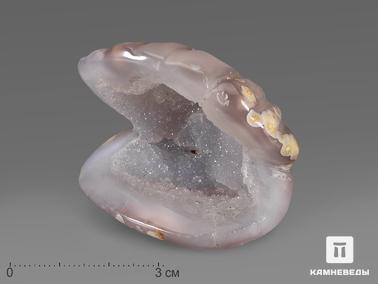Агат. Двустворчатая раковина из агата, 5х4,2х4 см