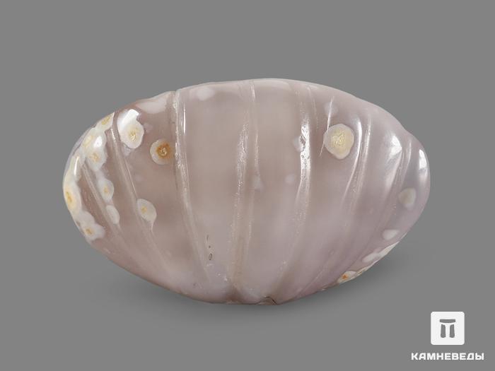 Двустворчатая раковина из агата, 5х4,2х4 см, 22358, фото 3