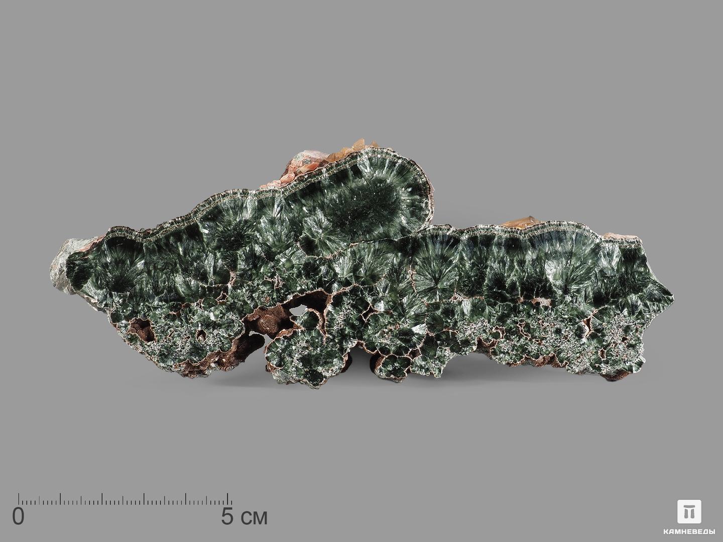 Клинохлор (серафинит), полированный срез с кристаллами кальцита 15х6х1 см клинохлор серафинит на магнетите 11 6х6 6х6 см