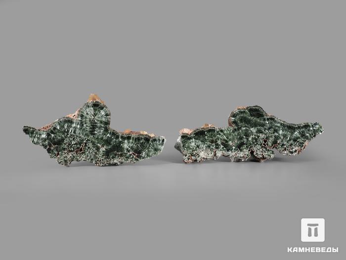 Клинохлор (серафинит), полированный срез с кристаллами кальцита 15х6х1 см, 22409, фото 3