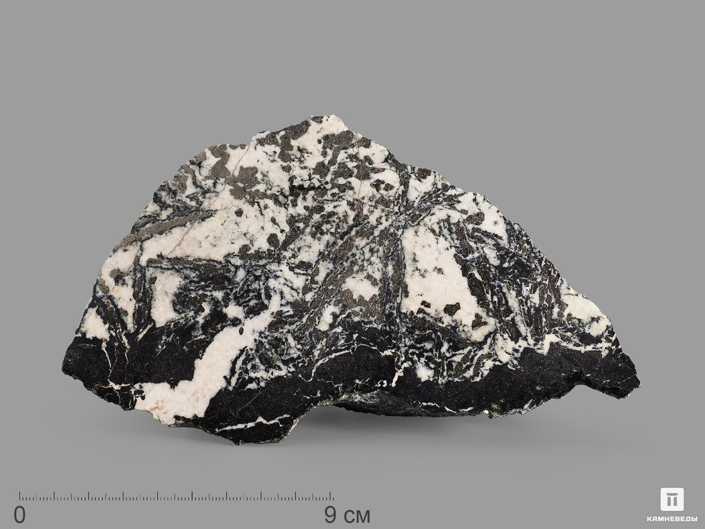 Псевдоморфозы пирита и магнетита по гематиту, полированный срез 16х10,3х4,7 см, 22462, фото 1