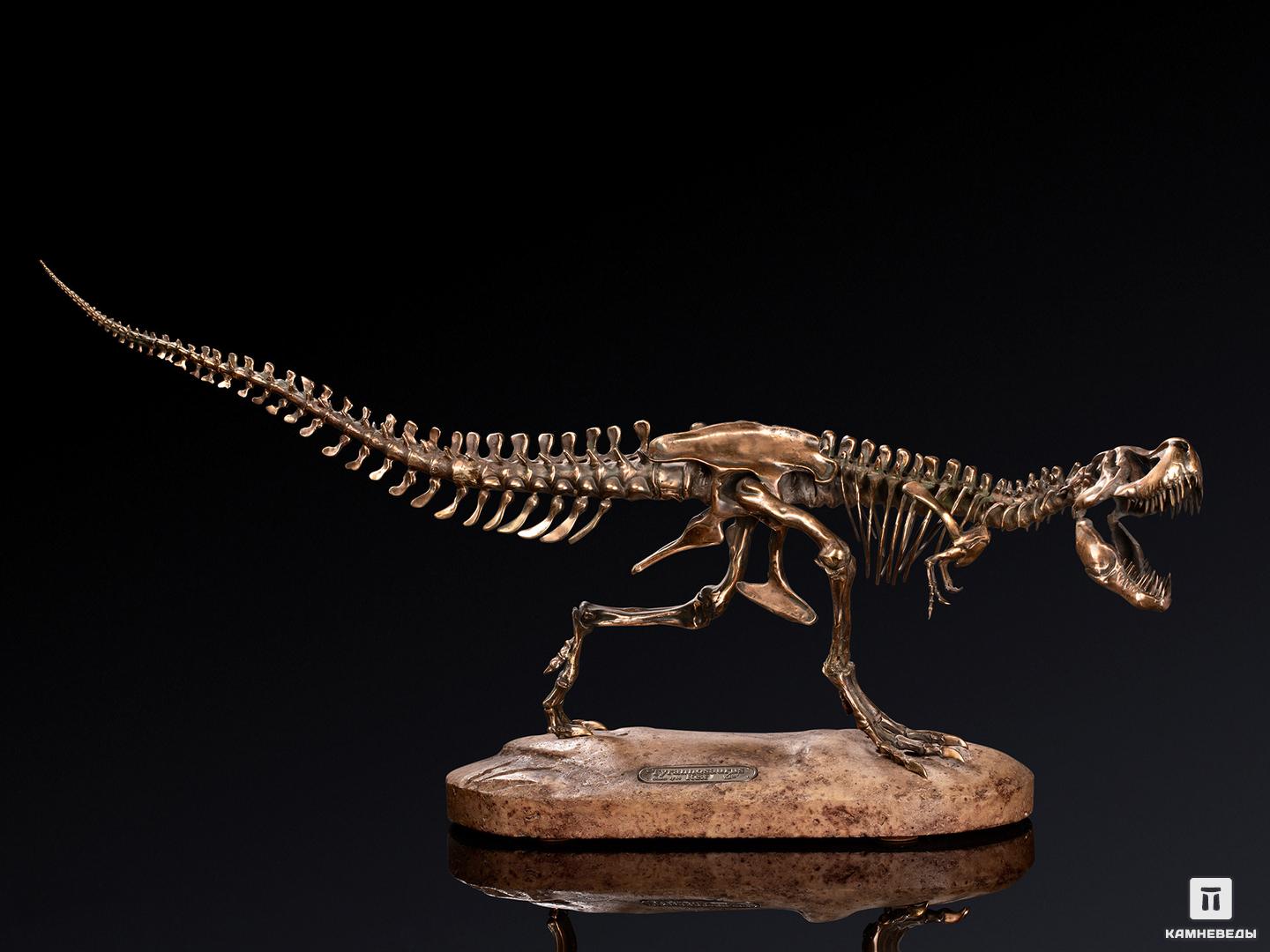 Модель скелета динозавра TYRANNOSAURUS модель из картона кунсткамера