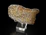 Метеорит «Сеймчан» с оливином, пластина 13,9х10,8х0,3 см (158,6 г), 9824, фото 2