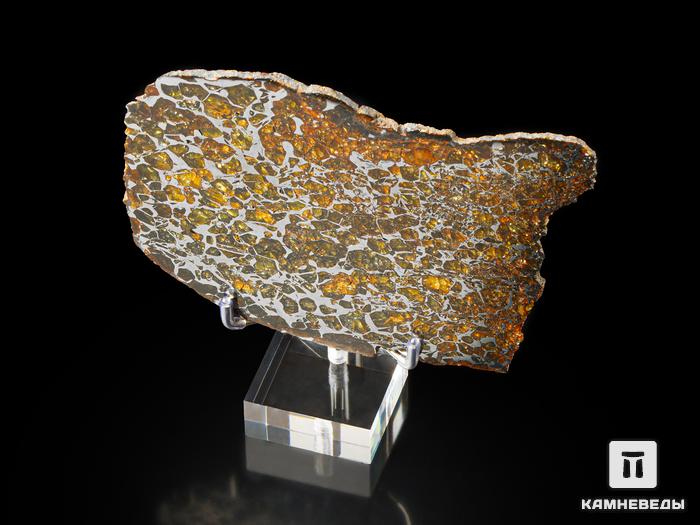 Метеорит «Сеймчан» с оливином, пластина 13,9х10,8х0,3 см (158,6 г), 9824, фото 2